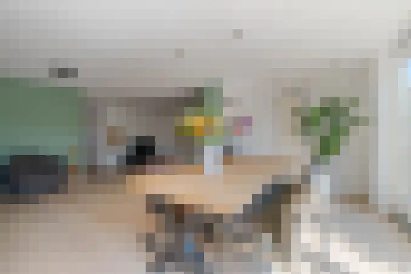 Vingerhoedskruid 56 Venray thumbnail 19