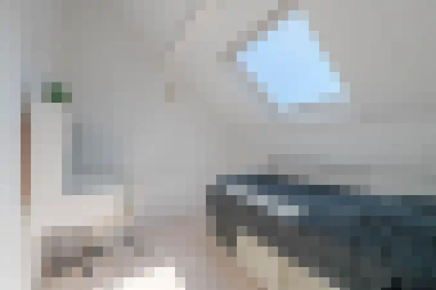 Vingerhoedskruid 56 Venray thumbnail 31