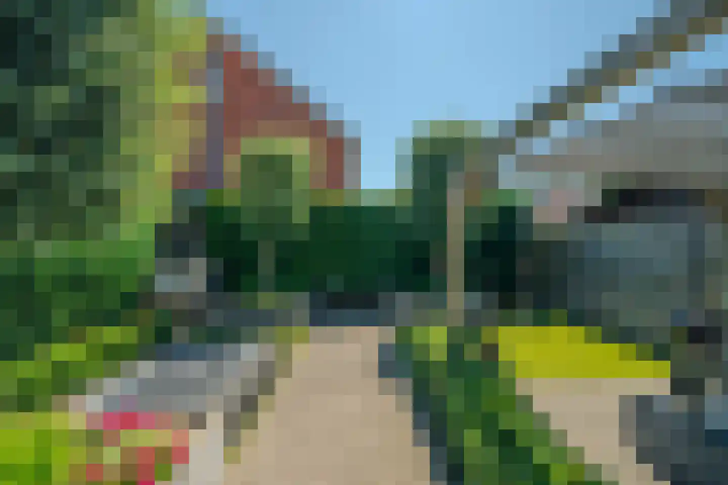 Vingerhoedskruid 56 Venray thumbnail 36