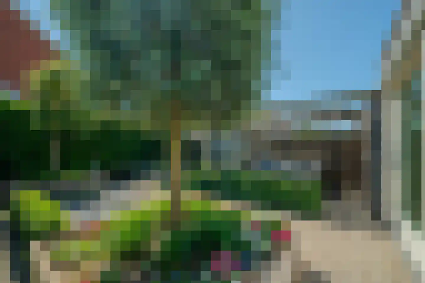 Vingerhoedskruid 56 Venray thumbnail 37