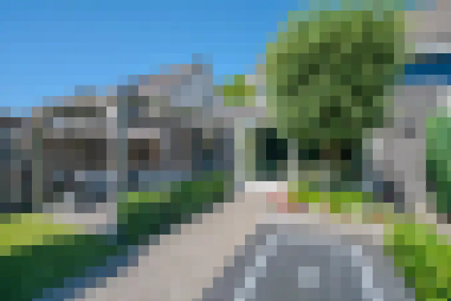 Vingerhoedskruid 56 Venray thumbnail 39