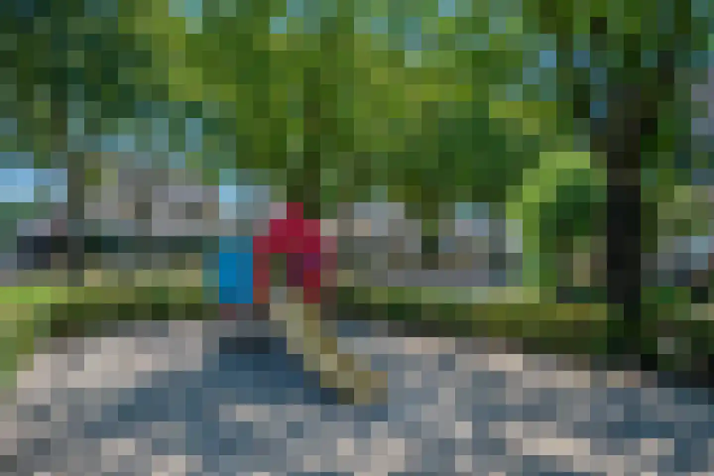 Vingerhoedskruid 56 Venray thumbnail 44