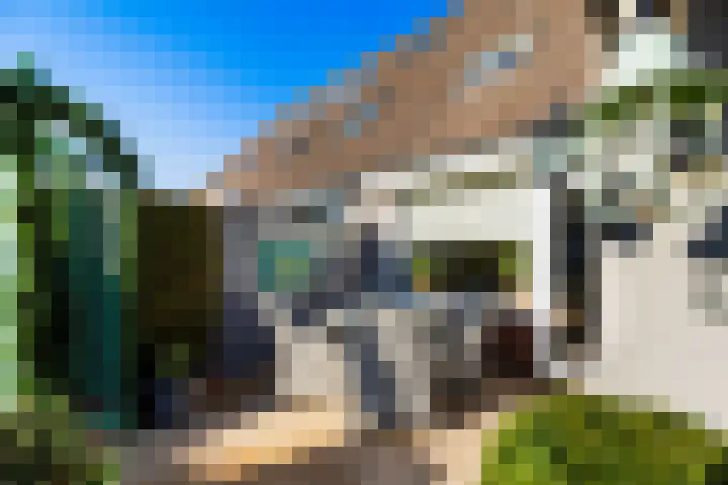 Vingerhoedskruid 6 Hoogvliet Rotterdam thumbnail 24