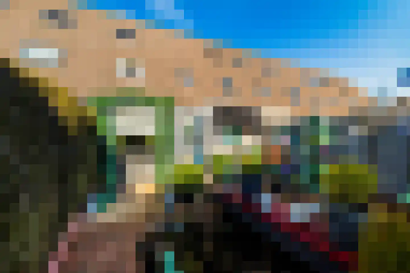 Vingerhoedskruid 6 Hoogvliet Rotterdam thumbnail 26