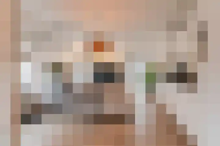 Vingerhoedsteeg 13 Culemborg thumbnail 8