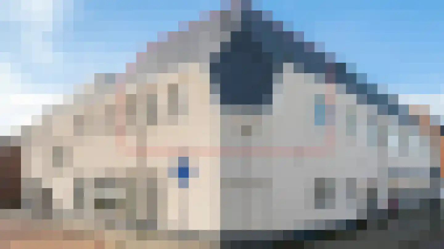 Vingerhoedsteeg 19 in Culemborg