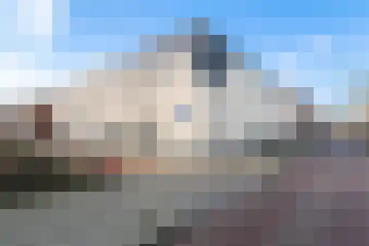 Vingerhoedsteeg 20 Culemborg thumbnail 20