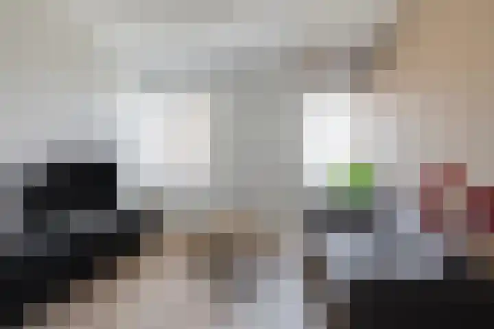 Vingerhoedsteeg 20 Culemborg thumbnail 7