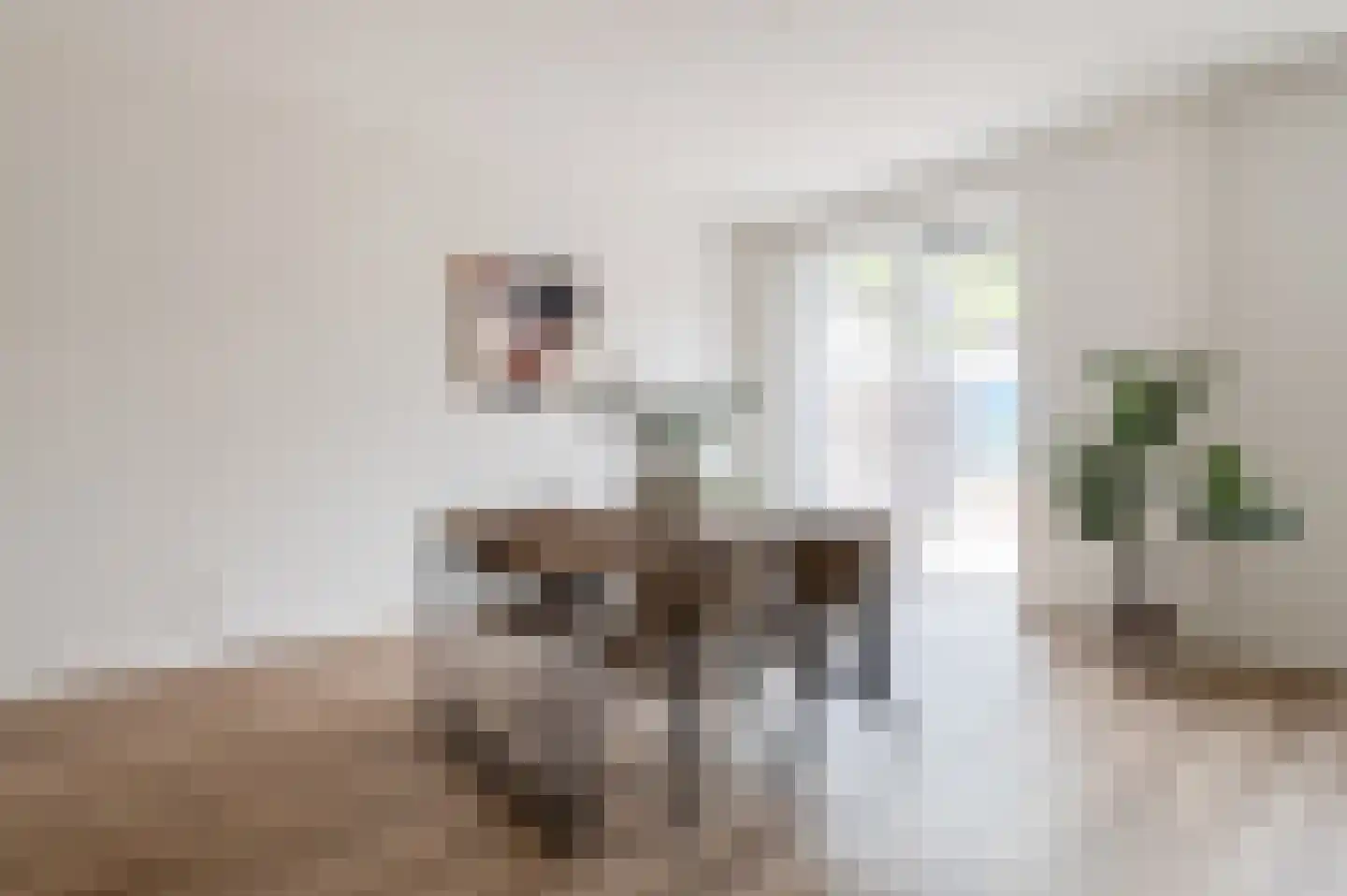 Vingerhoedsteeg 9 Culemborg thumbnail 9
