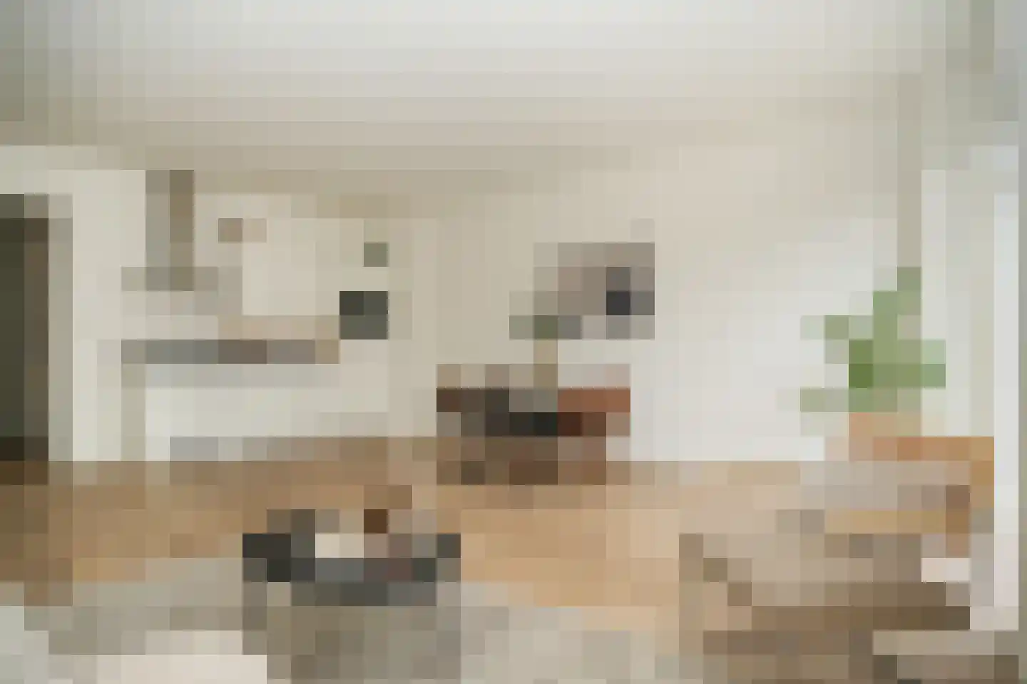 Vingerhoedsteeg 9 Culemborg thumbnail 9