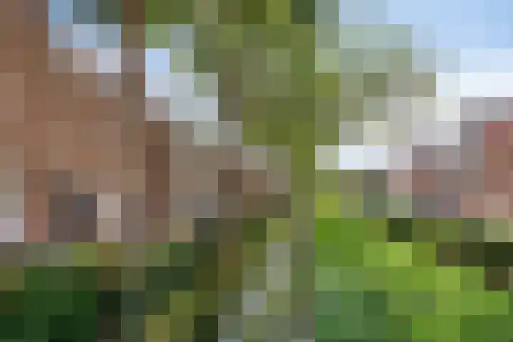 Vingerhoekhof 11 b IJsselstein thumbnail 23