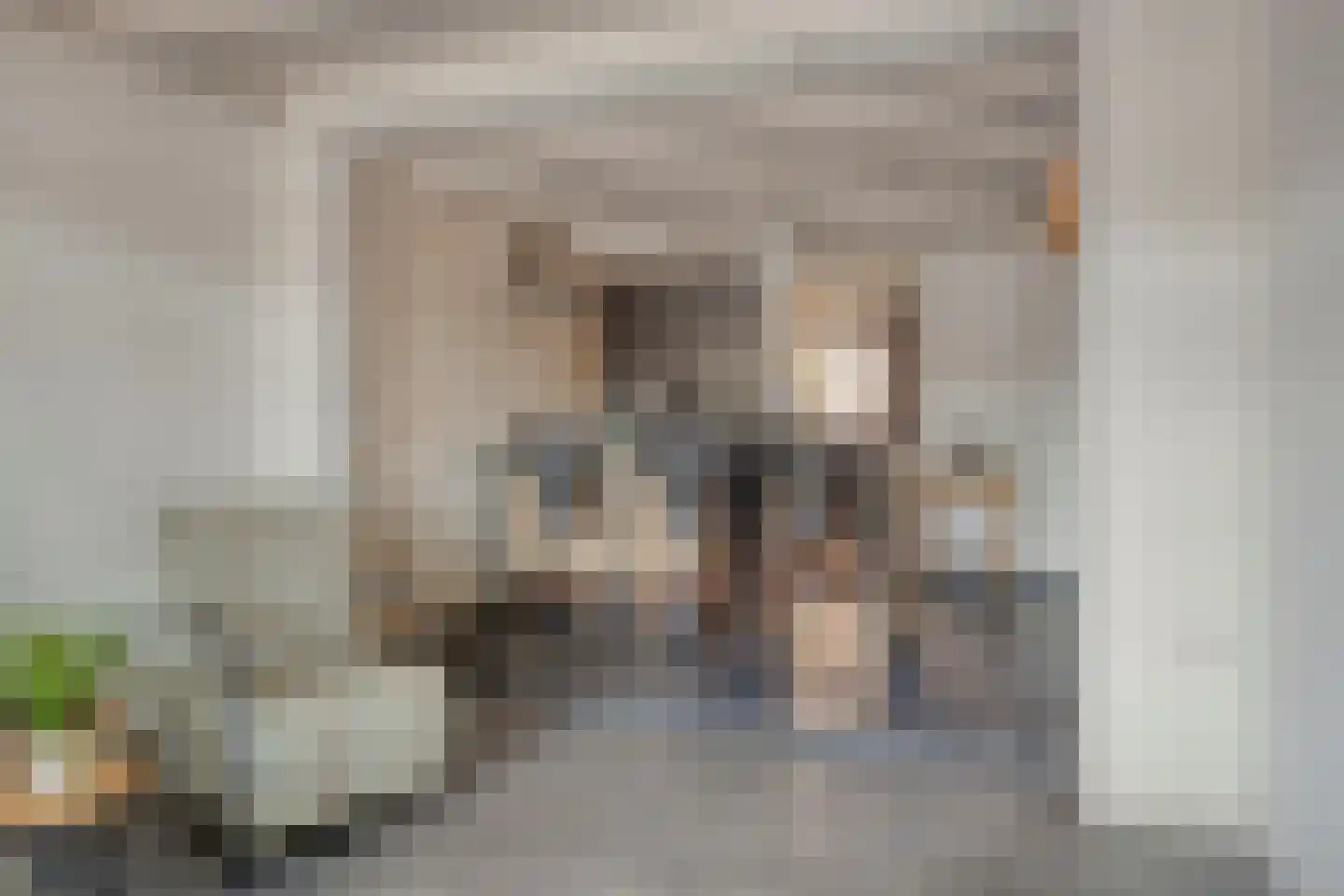 Vingerling 27 Middelharnis thumbnail 4