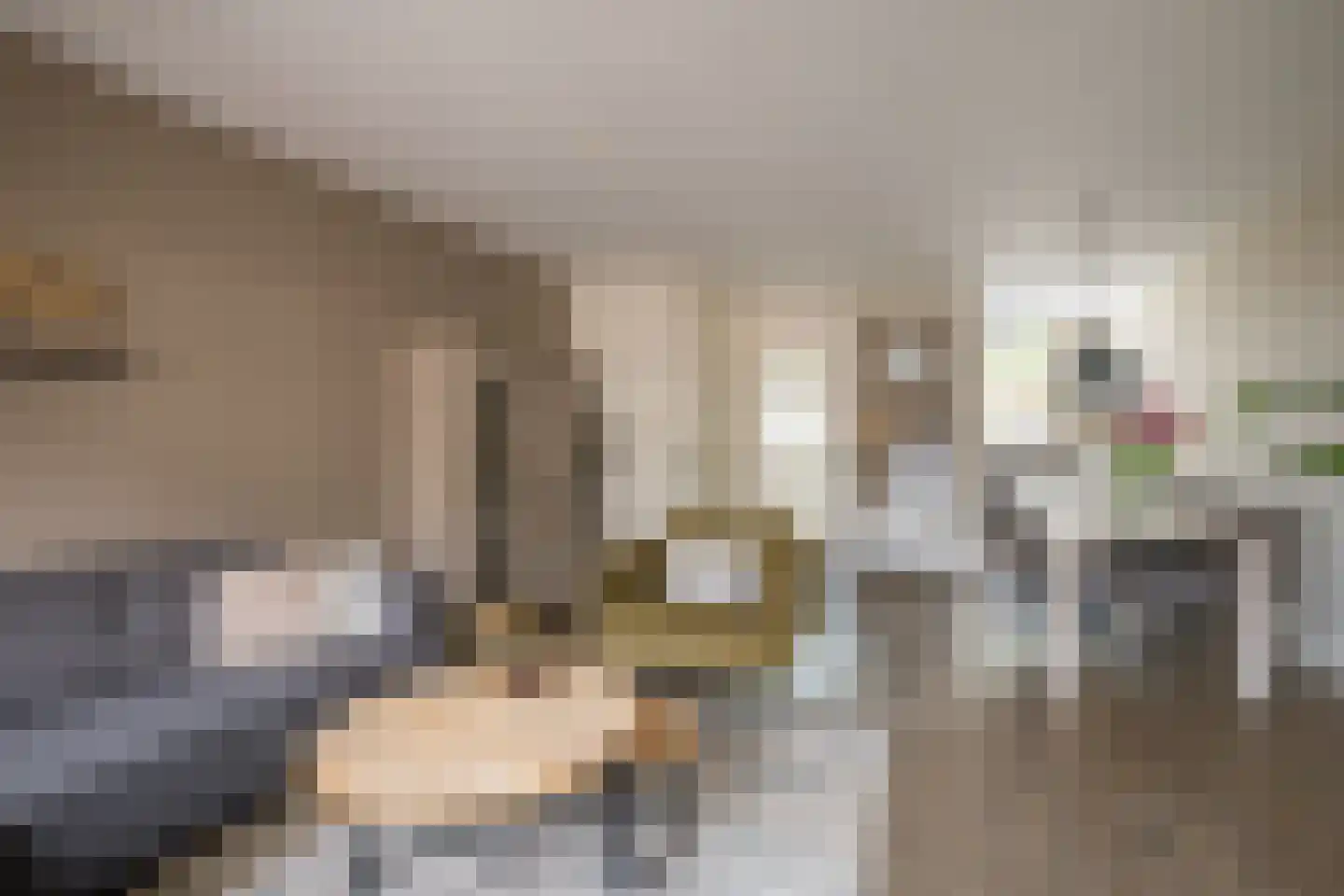 Vink 3 Rijssen thumbnail 11