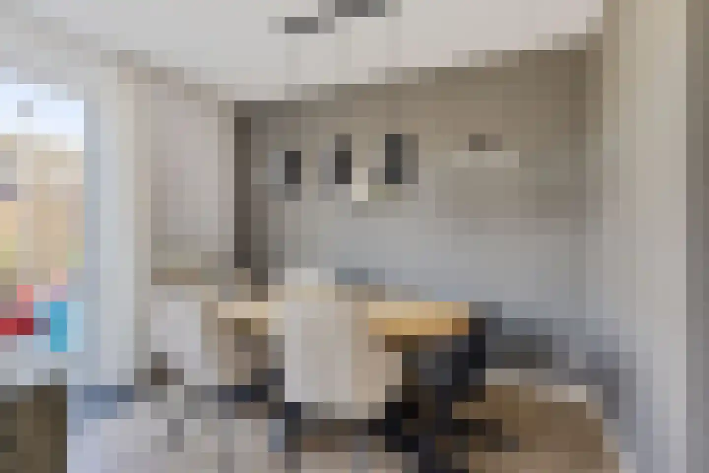 Vink 9 Muntendam thumbnail 14