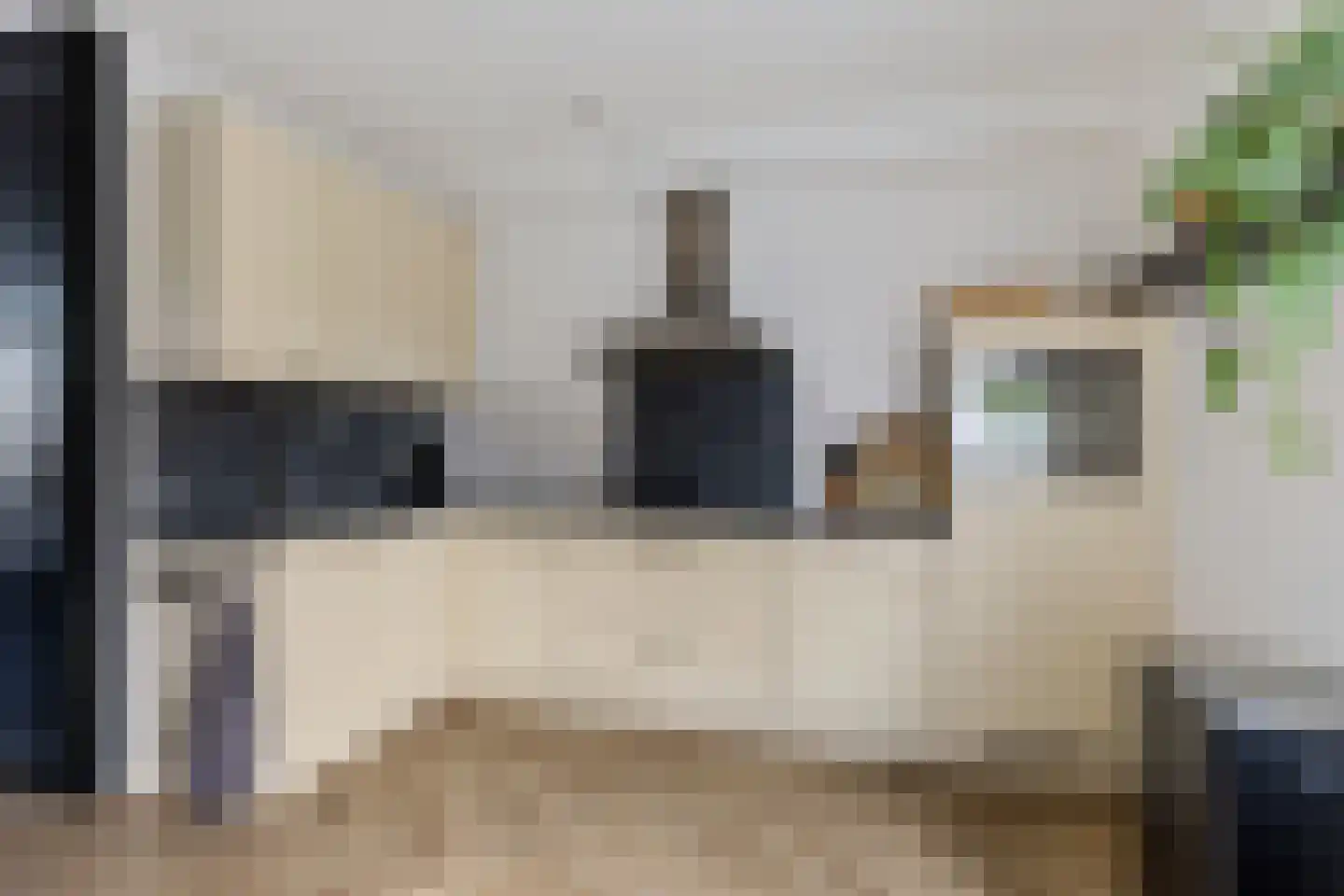 Vink 9 Muntendam thumbnail 16