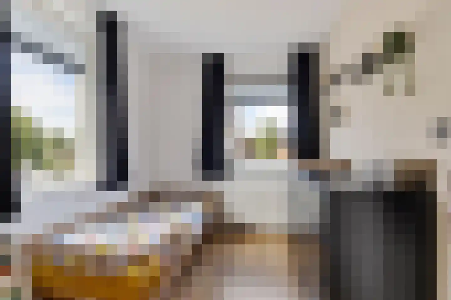 Vink 9 Muntendam thumbnail 26