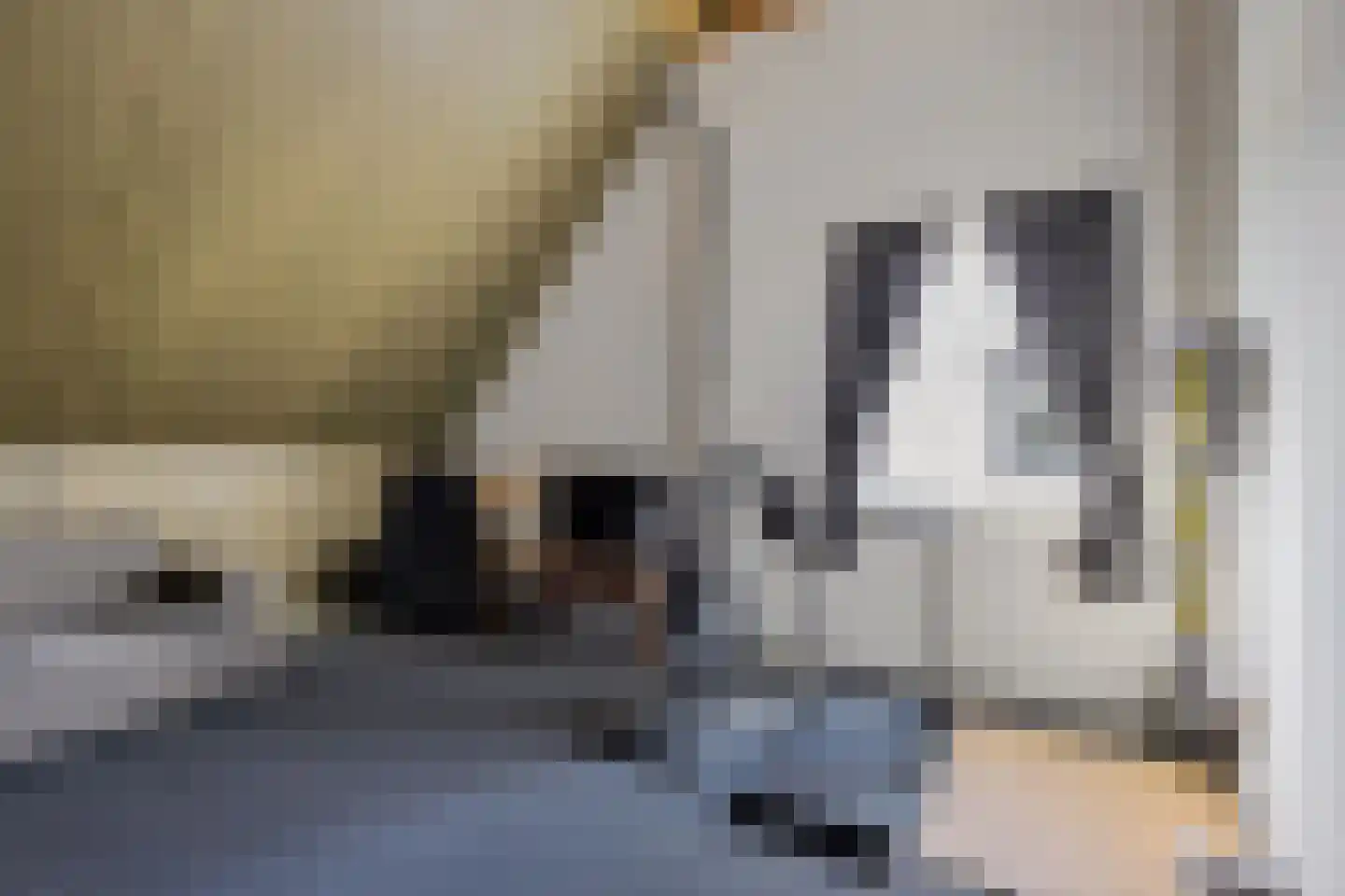 Vink 9 Muntendam thumbnail 36