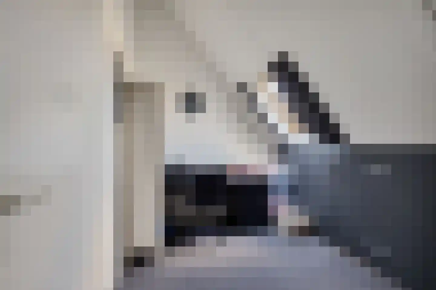 Vink 9 Muntendam thumbnail 38