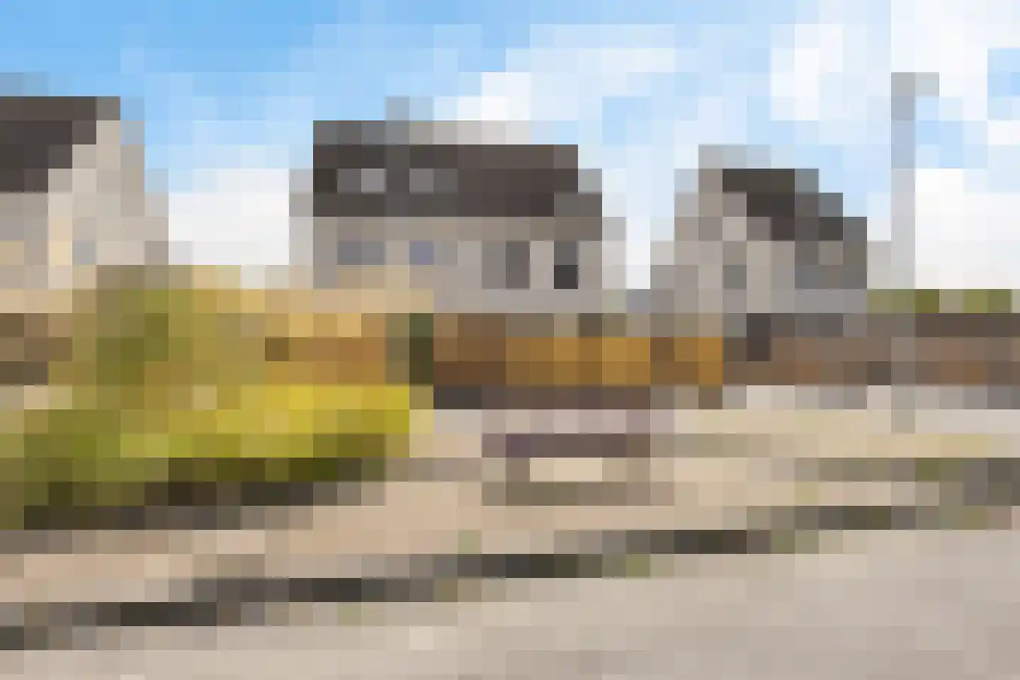 Vink 9 Muntendam thumbnail 4