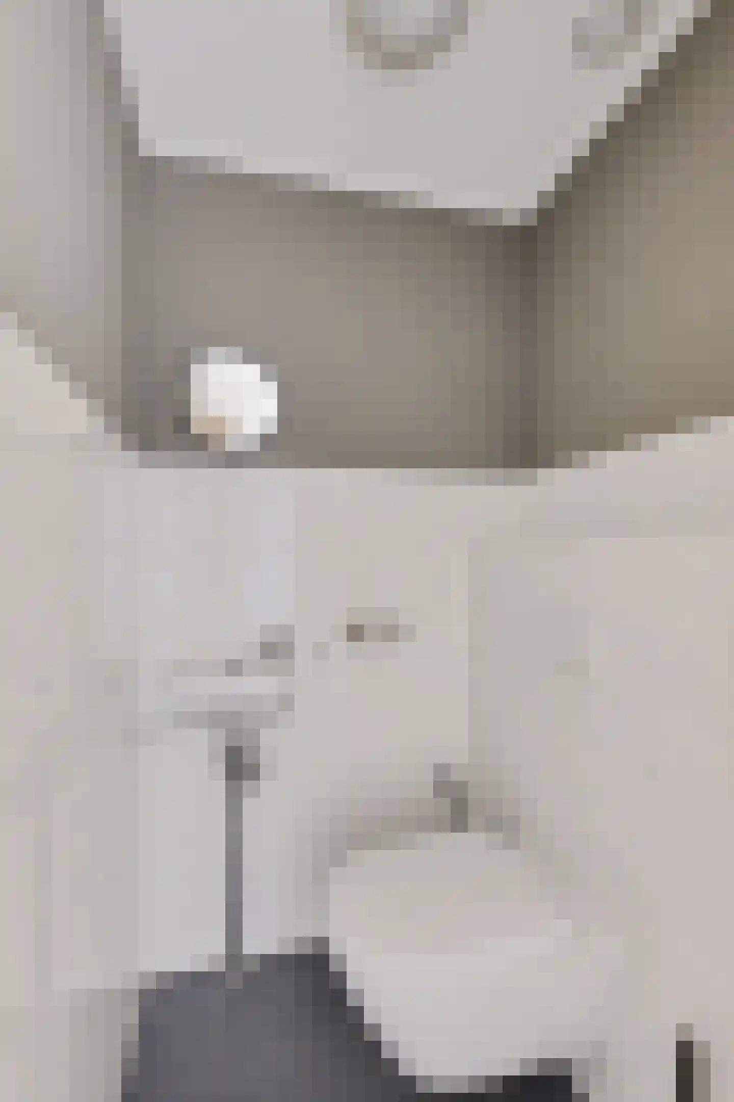 Vink 9 Muntendam thumbnail 9
