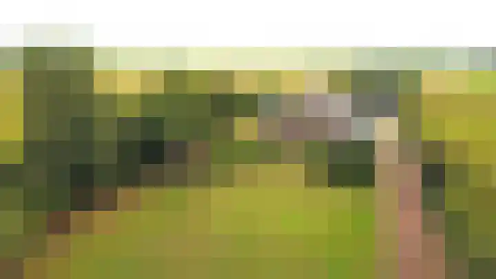 Vinkebroeksestraat 8 in Zeddam