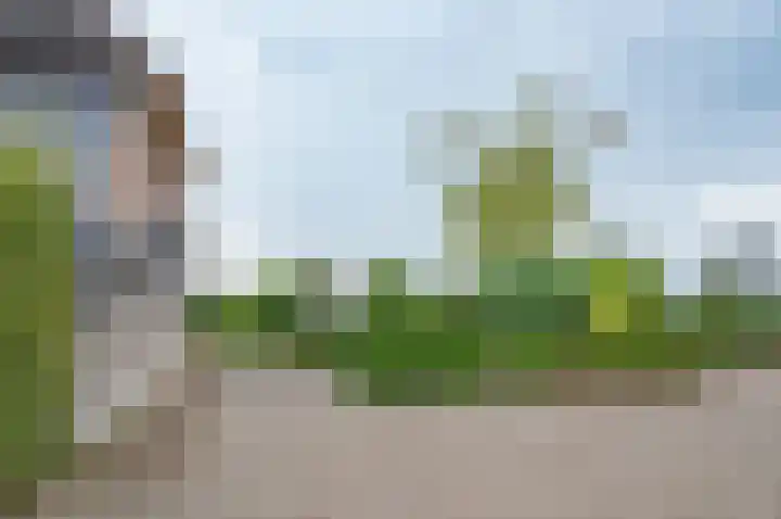 Vinkebroeksestraat 8 Zeddam thumbnail 10