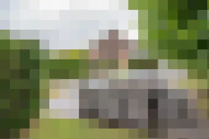 Vinkebroeksestraat 8 Zeddam thumbnail 12