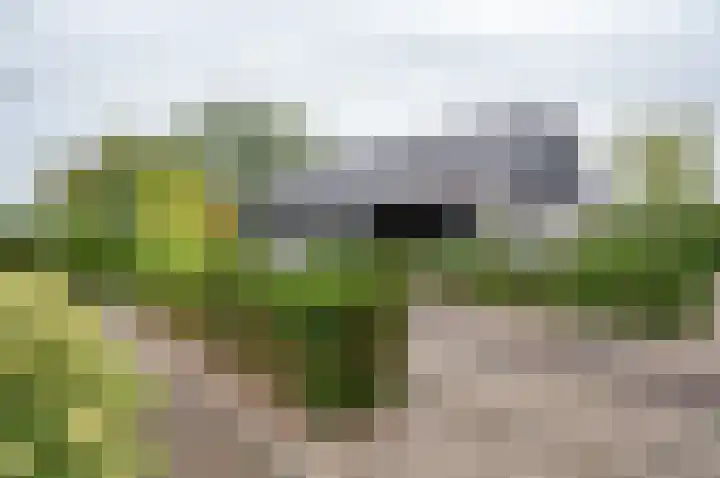 Vinkebroeksestraat 8 Zeddam thumbnail 14
