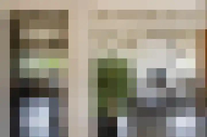 Vinkebroeksestraat 8 Zeddam thumbnail 18
