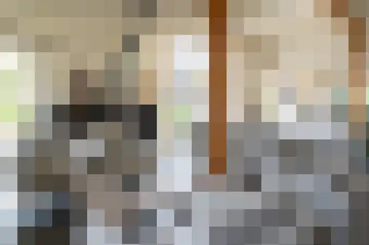 Vinkebroeksestraat 8 Zeddam thumbnail 20