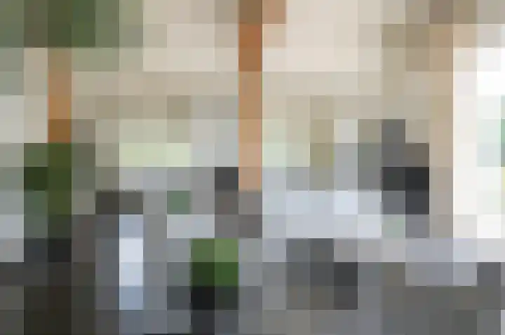 Vinkebroeksestraat 8 Zeddam thumbnail 22