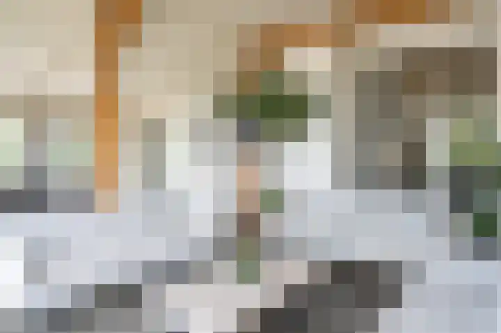 Vinkebroeksestraat 8 Zeddam thumbnail 24