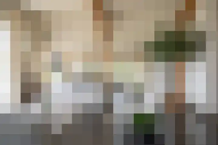 Vinkebroeksestraat 8 Zeddam thumbnail 25