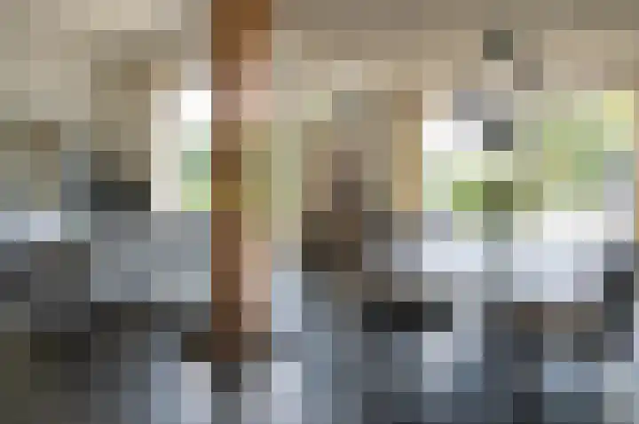 Vinkebroeksestraat 8 Zeddam thumbnail 26