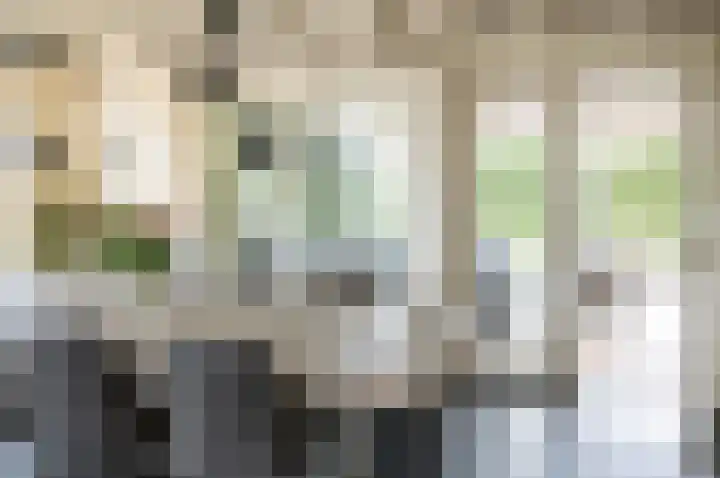 Vinkebroeksestraat 8 Zeddam thumbnail 27