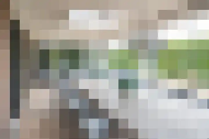 Vinkebroeksestraat 8 Zeddam thumbnail 28