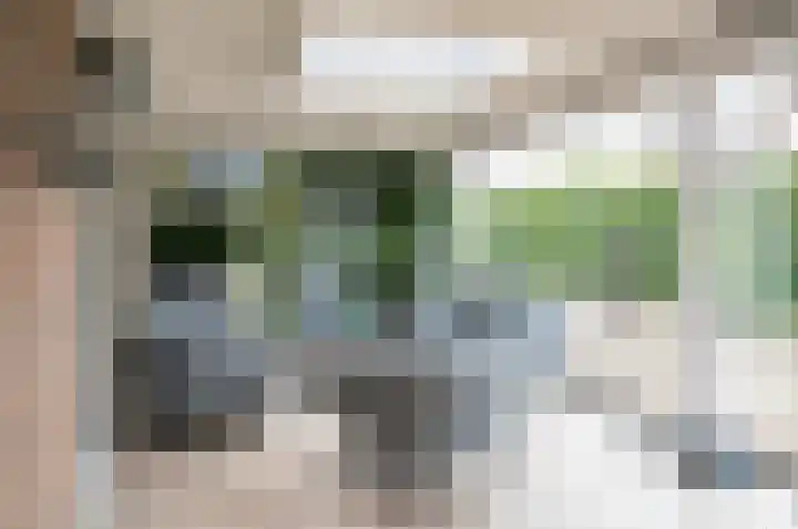 Vinkebroeksestraat 8 Zeddam thumbnail 29