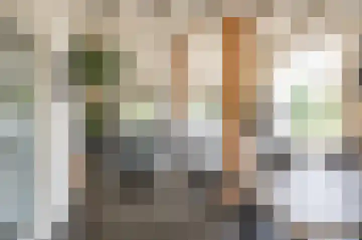 Vinkebroeksestraat 8 Zeddam thumbnail 30