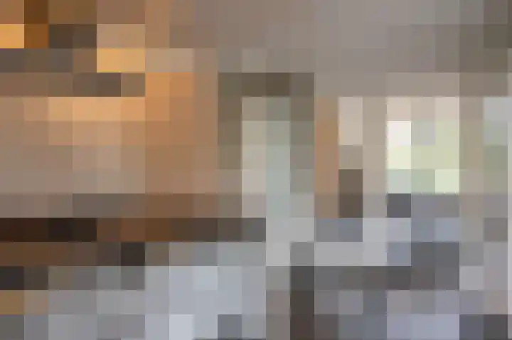 Vinkebroeksestraat 8 Zeddam thumbnail 31
