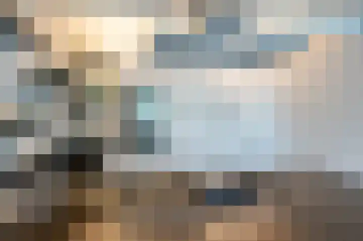 Vinkebroeksestraat 8 Zeddam thumbnail 33