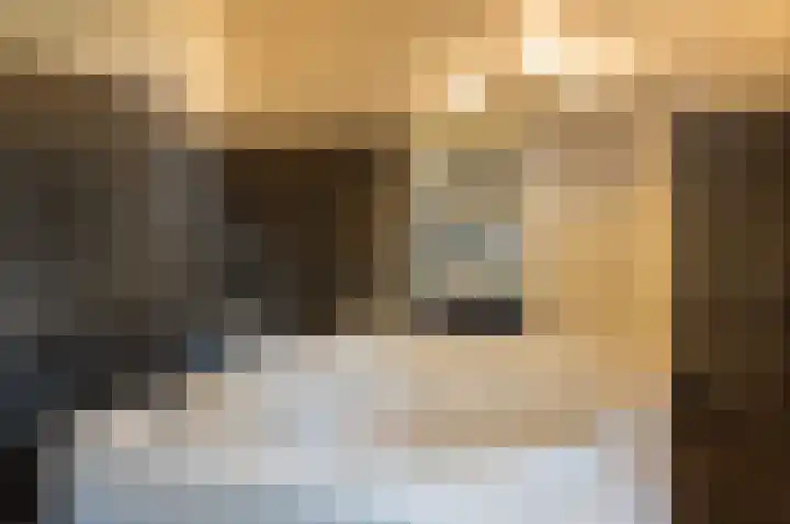 Vinkebroeksestraat 8 Zeddam thumbnail 38