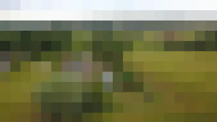 Vinkebroeksestraat 8 Zeddam thumbnail 4