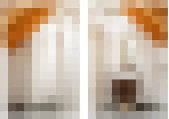 Vinkebroeksestraat 8 Zeddam thumbnail 43