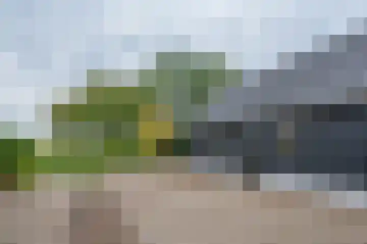Vinkebroeksestraat 8 Zeddam thumbnail 49