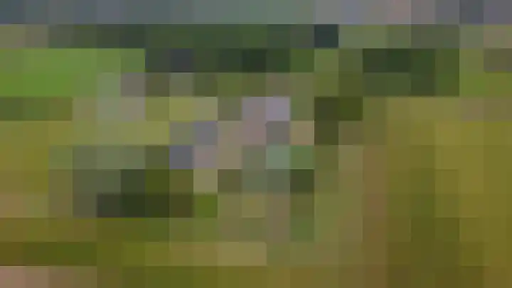 Vinkebroeksestraat 8 Zeddam thumbnail 5