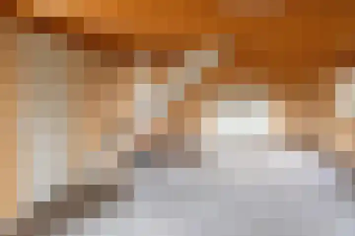 Vinkebroeksestraat 8 Zeddam thumbnail 50