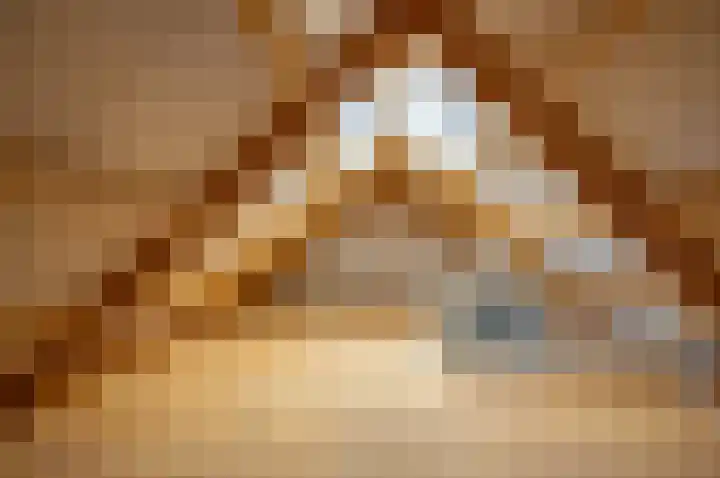 Vinkebroeksestraat 8 Zeddam thumbnail 51
