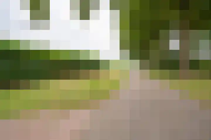 Vinkebroeksestraat 8 Zeddam thumbnail 54