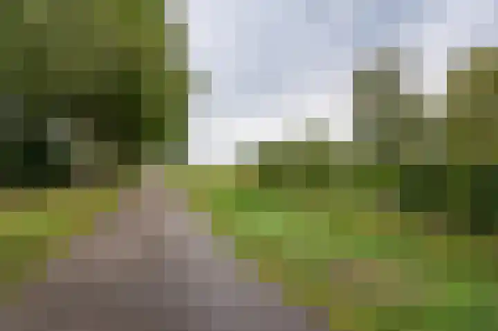 Vinkebroeksestraat 8 Zeddam thumbnail 55