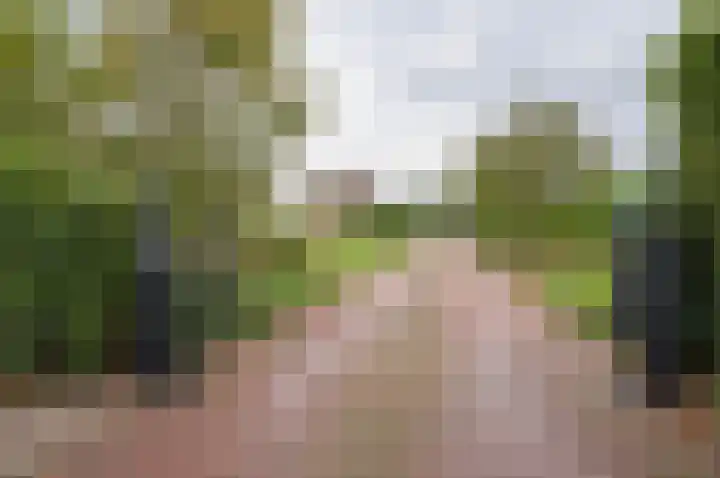Vinkebroeksestraat 8 Zeddam thumbnail 6